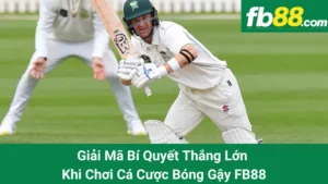 Giải Mã Bí Quyết Thắng Lớn Khi Chơi Cá Cược Bóng Gậy FB88