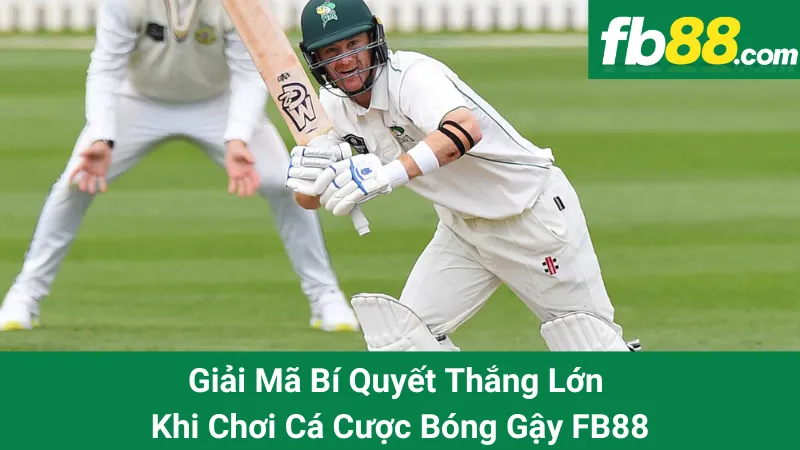 Giải Mã Bí Quyết Thắng Lớn Khi Chơi Cá Cược Bóng Gậy FB88 1 Giải Mã Bí Quyết Thắng Lớn Khi Chơi Cá Cược Bóng Gậy FB88