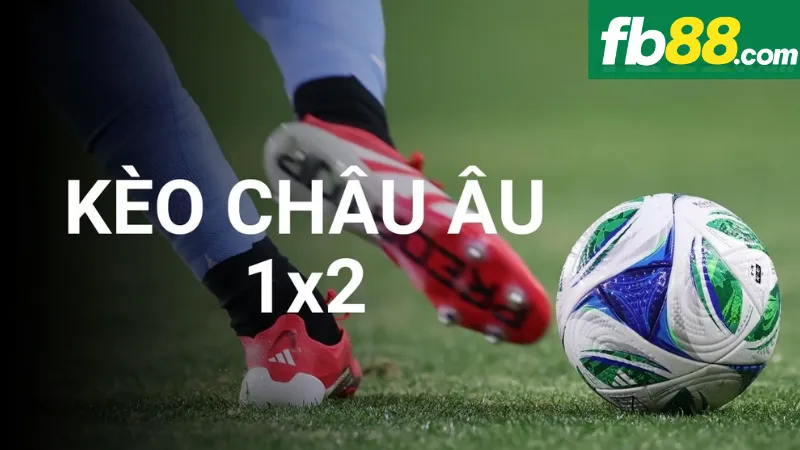 Chinh Phục Kèo Châu Âu FB88 Chỉ Trong Vài Bước Đơn Giản 3 Những sai lầm thường gặp khi chơi kèo châu âu FB88