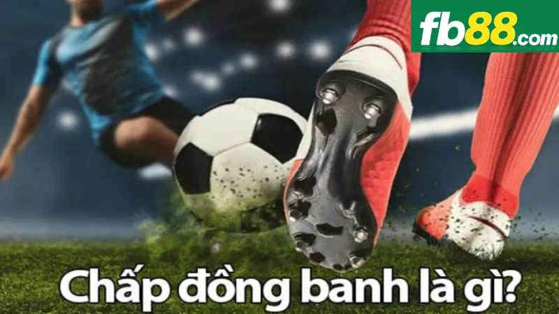Kèo Đồng Banh FB88 - Giải Mã Tỷ Lệ Kèo Đồng Banh Chuẩn Xác 2 Cách đọc kèo đồng banh FB88